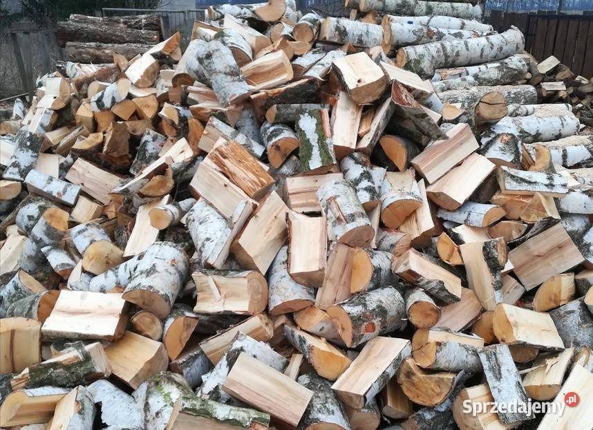 Suche Drewno sosna dąb brzoza buk grab .