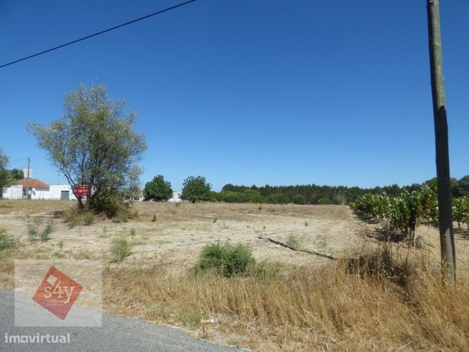 Terreno Foros do Trapo de 5.500m2! — Pegões, Setúbal