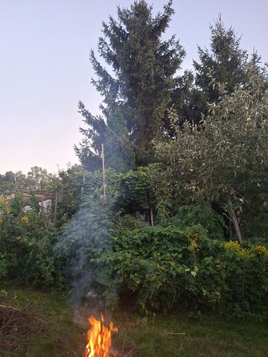 Działka ROD Wisełka - Widok 3