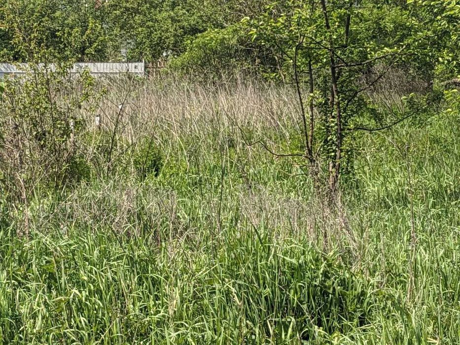 Продається 12 сот під будівництво в с.Загвіздя (8)
