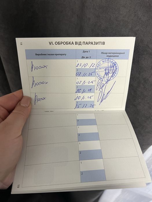 Мальтіпу Ред браун