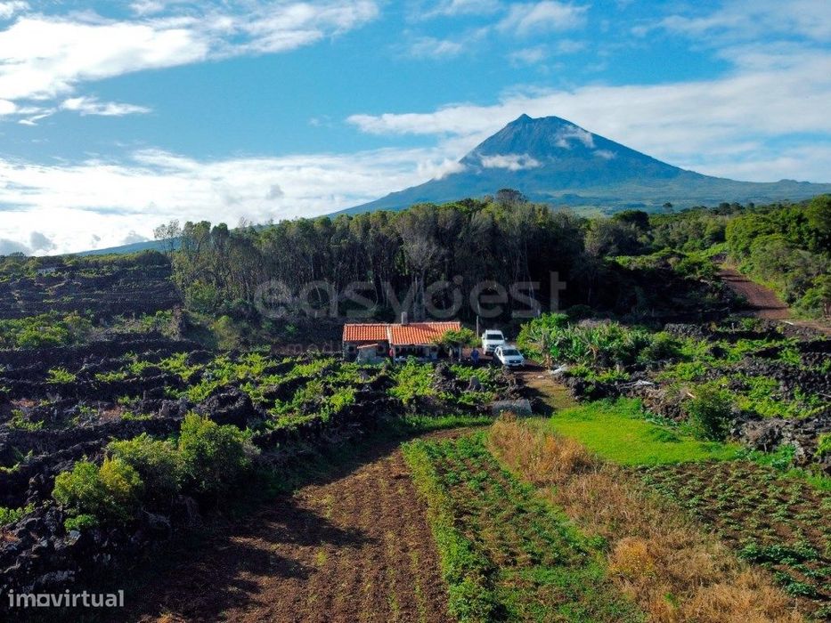 Terreno com Vista Mar e Montanha do Pico - Paisagem UNESCO