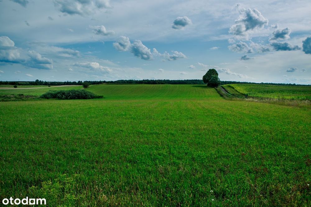 Działka 2 km od centrum Ełku, WZ, Siedliska, przy jeziorze sunowo - Widok 3