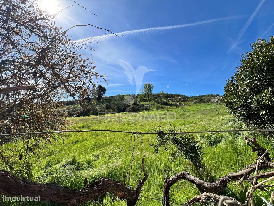 Terreno em Contins, a 10 minutos de Mirandela