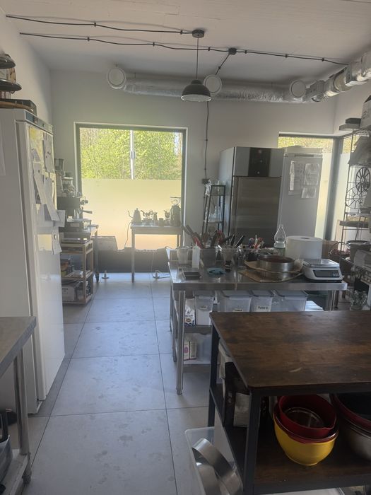 Lokal uzytkowy 61 m2