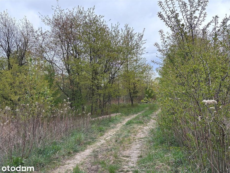 Zdjęcie 4