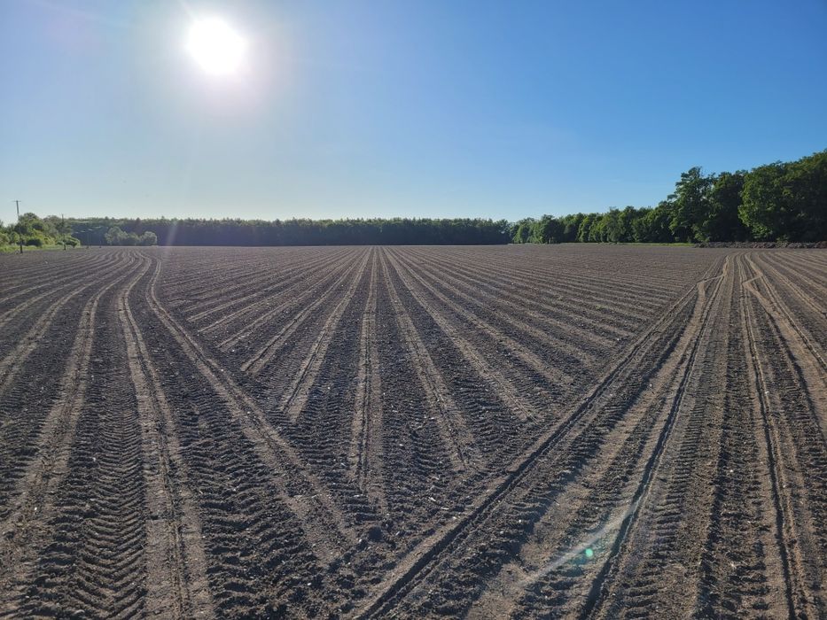 Usługi rolnicze siew pasowy buraków kukurydzy strip till uprawa pasowa