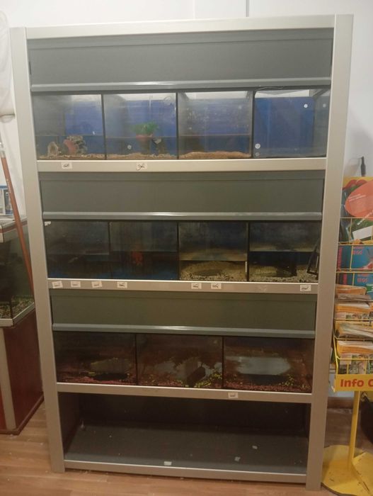 Bateria de aquarios para peixe