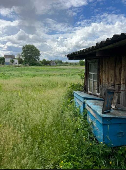 Пропоную до продажу будинок в с. Березняки.ЦІНУ ЗНИЖЕНО
