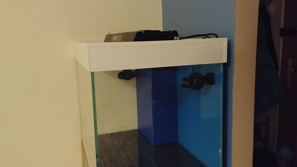 Akwarium morskie zestaw