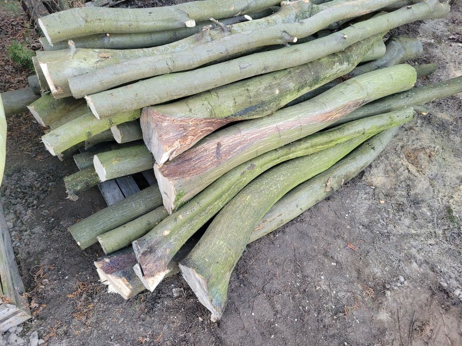 Drzewo opałowe, kominkowe liściaste Dąb, Grab