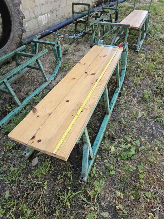 Sanie konne kulig