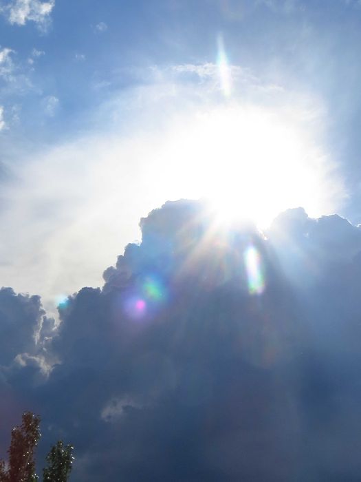 Камера Canon PowerShot SX240 HS