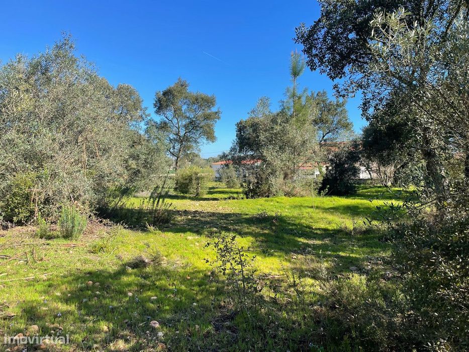 Terreno em Martinchel, Abrantes