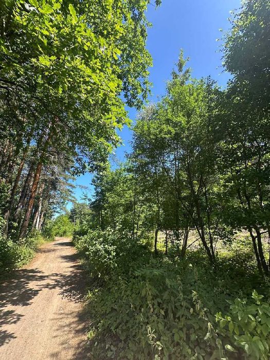 Продаж землі Брюховичі за вул. Незалежності України.Поруч ліс