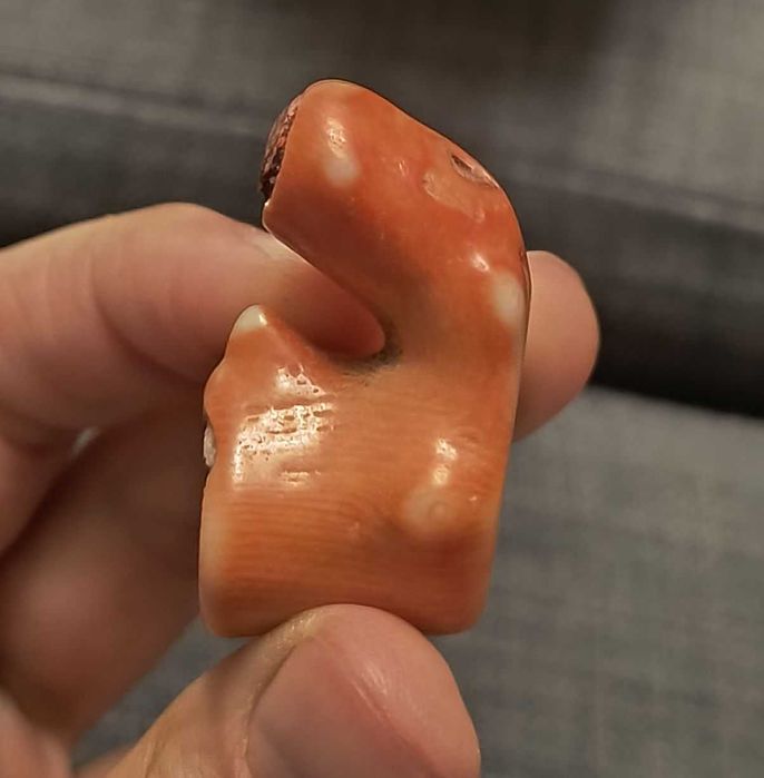 Duzy kawal naturalnego koralu