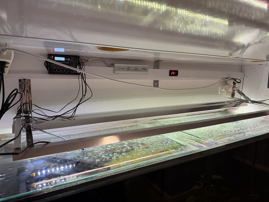 Akwarium 500 l z wyposażeniem i obsadą