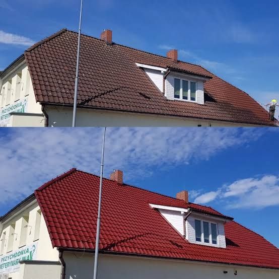 Malowanie i mycie dachów, elewacji, drewna