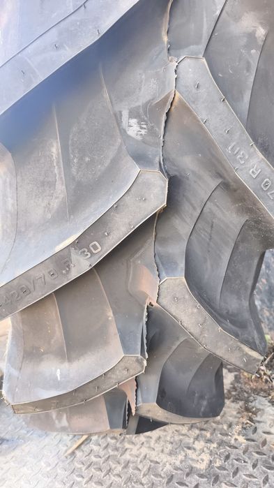 Pneus novos 420/70 R30 TRELLEBORG TM700