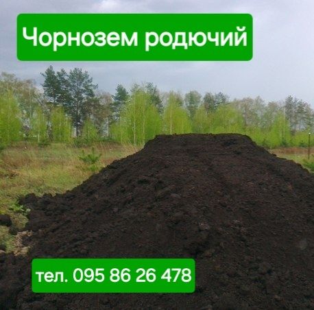 Чорнозем для саду, газон. Щебінь, відсів, пісок.