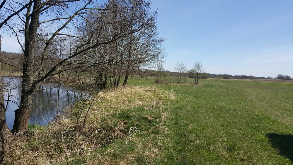 Działka rolna. Łąka między rzeka Narew a Narwica - View 2