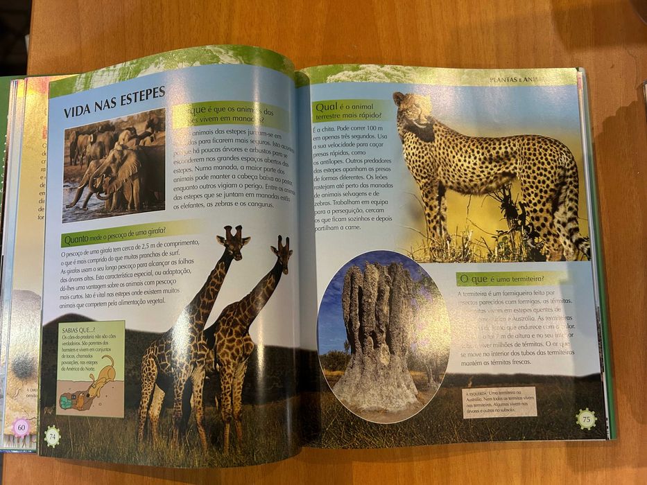 A Enciclopédia do Conhecimento