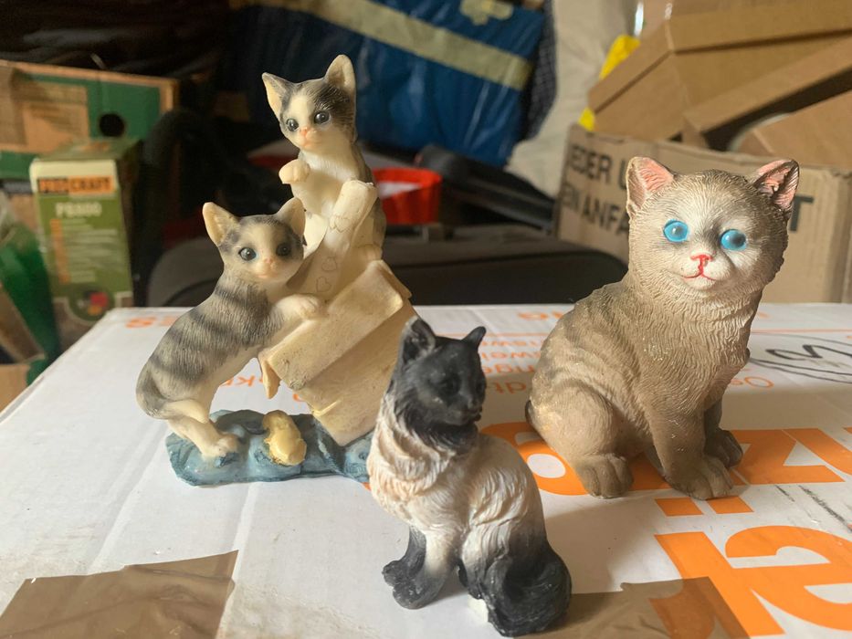 кицьки котики кішечки