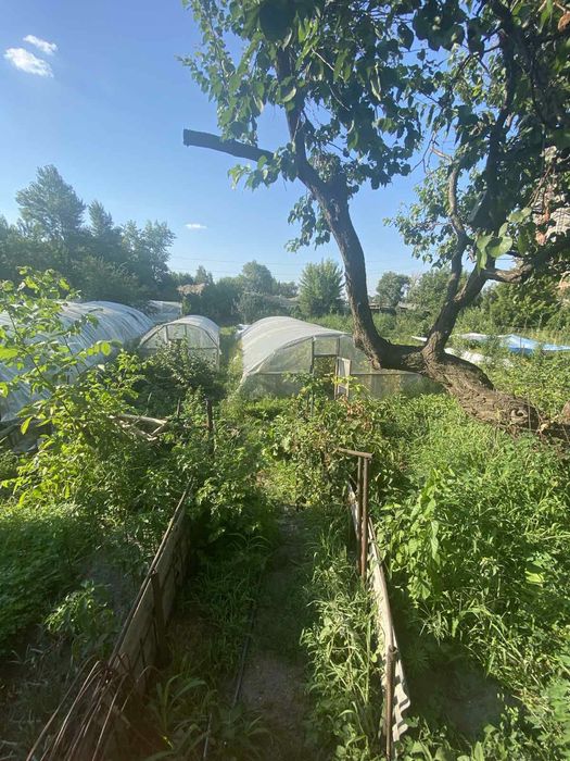 Продам дом на Победе-6