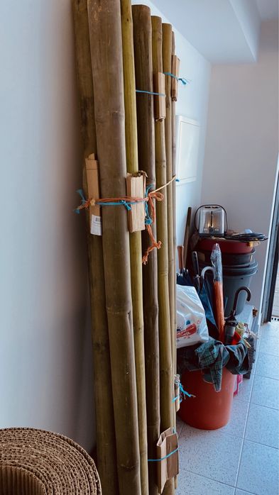 Canas em bambu para decoracao