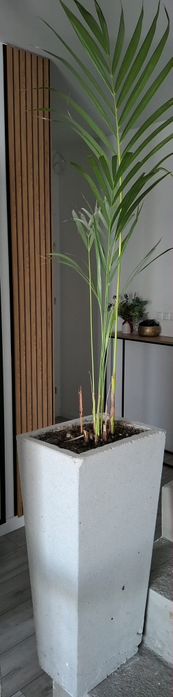 Donica betonowa dekoracyjna