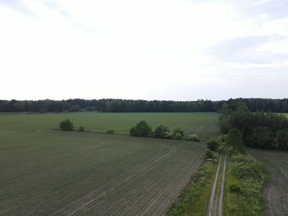Grunty rolne z możliwością zabudowy śiedliskowej - Widok 4
