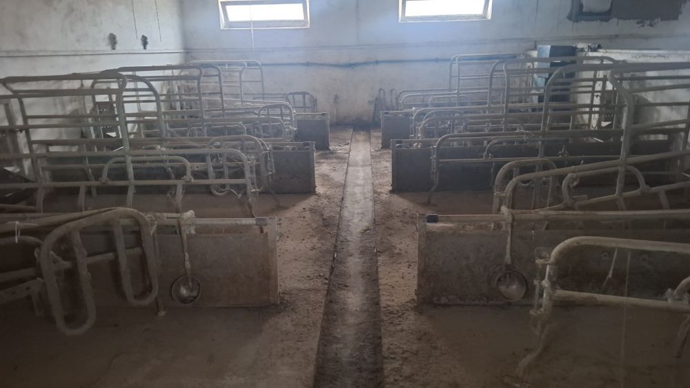 Продам  діючу ферму