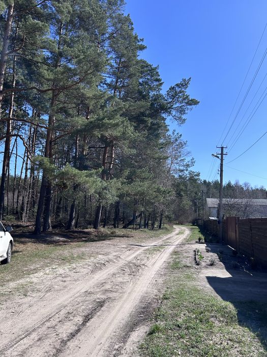Будинок в лісі близ Київа.