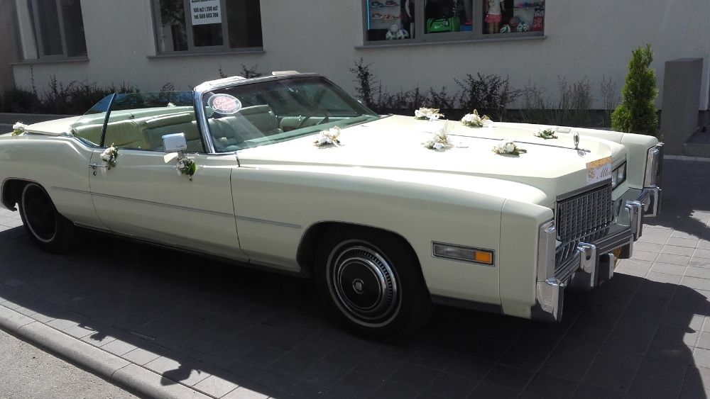 Auto do slubu Rolls Royce Austin Cadillac Warszawa  Praga Pólnoc