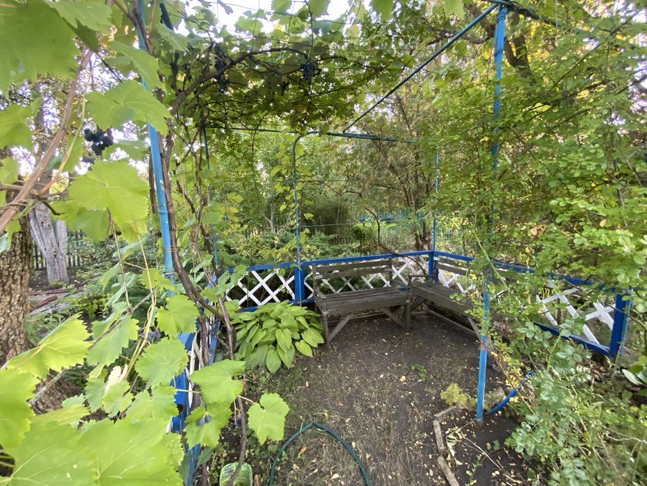 Дачний невеликий будинок