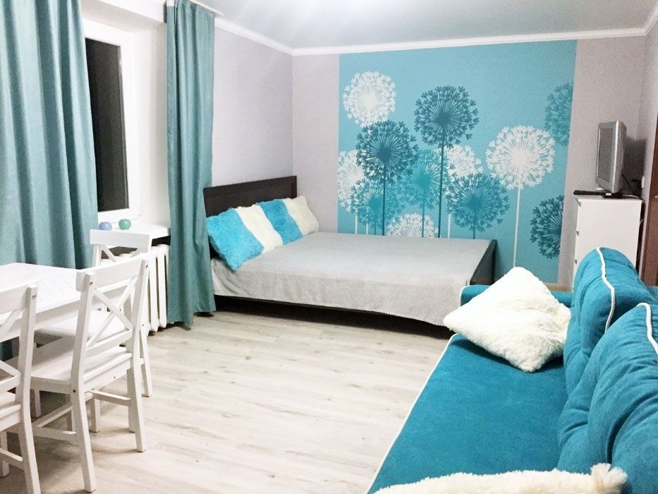 Центр.Однокомнатная на Каменецкой.72 Новый рік