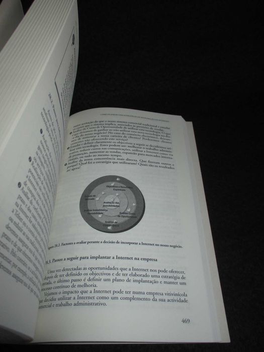 Livro MBA para Todos Finanças Marketing Estratégia Empresas e Internet