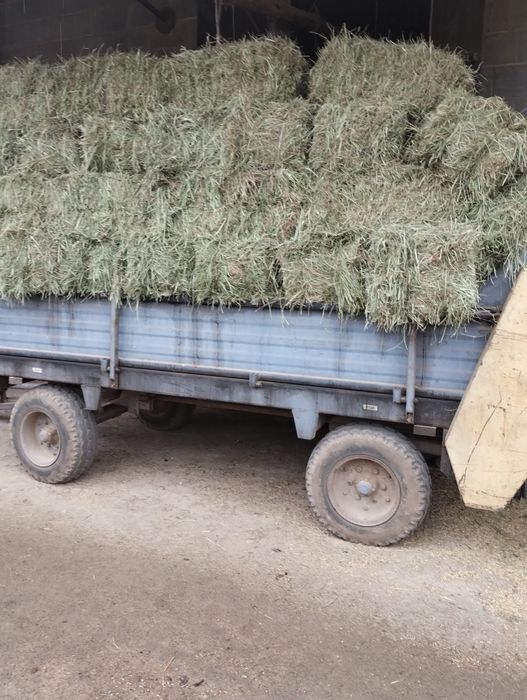 Sprzedam siano zbiór 2025.