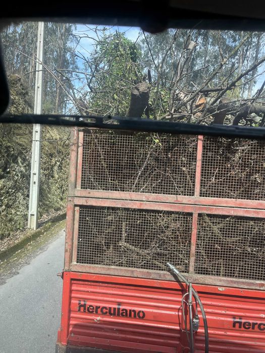 Serviço de limpeza de terrenos
