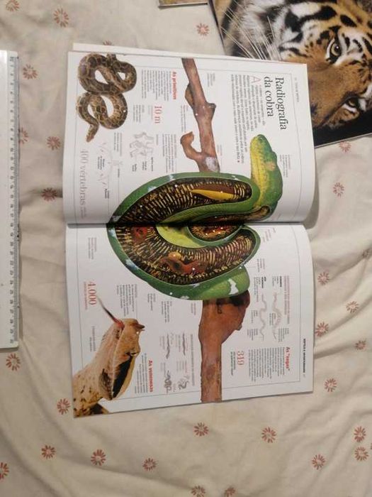 Enciclopédias de animais