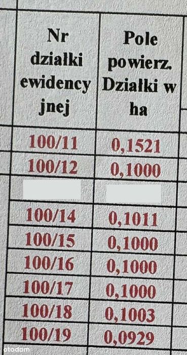 Działki budowlane - Żychlin, przy drodze wojewódzkiej nr 573 – pohled 2