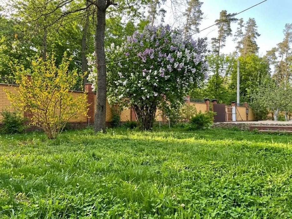 Продаж ділянки 15 соток. В оточенні лісу. Газ. Електрика. Вода. ID:736 - View 3