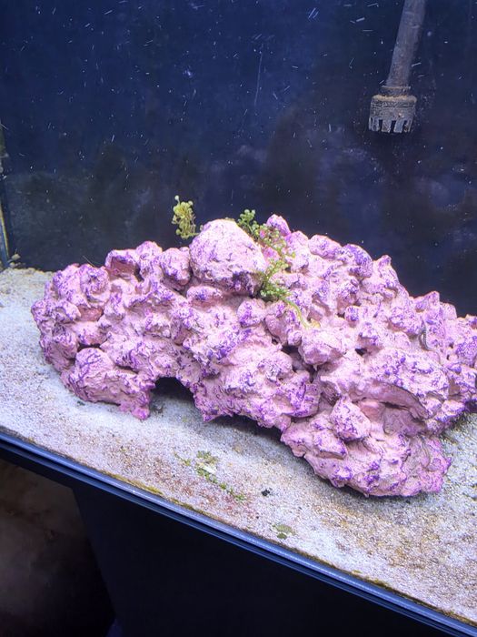 Akwarium  morskie 65 litrowe ze stolikiem optiwhite skała aquaforest Belka LED Fluwal