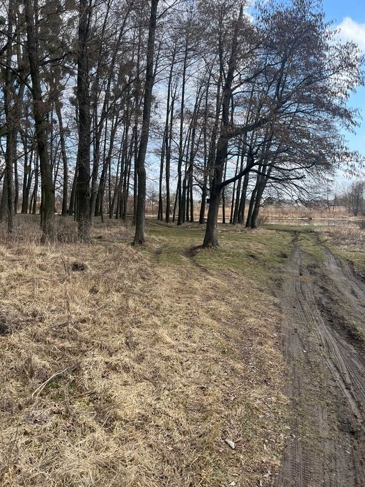 Продам ділянку, смт. Стрижавка