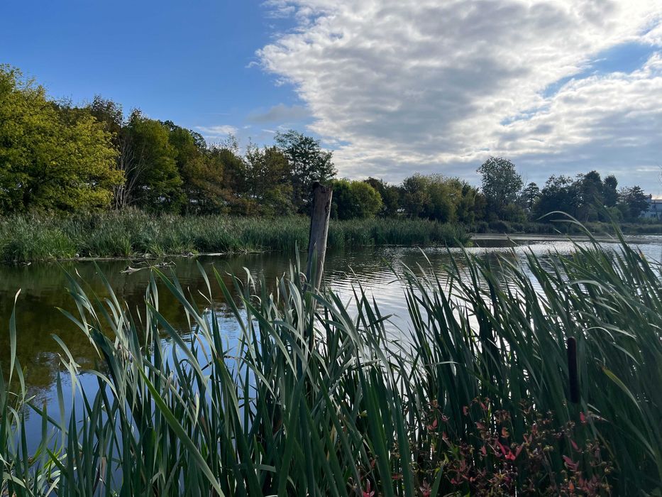 NOWA kawalerka z balkonem / dostępne jeszcze 2 i 3 pokoje