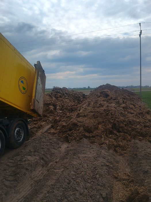 Obornik kurzy duża ilość
