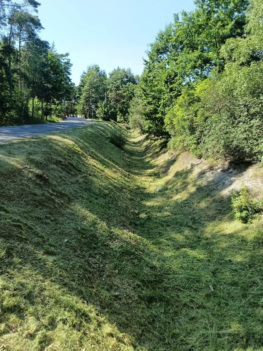 Sprzątanie działek i podwórek