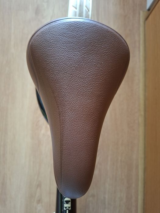 Bicicleta equilibrio 10 polegadas