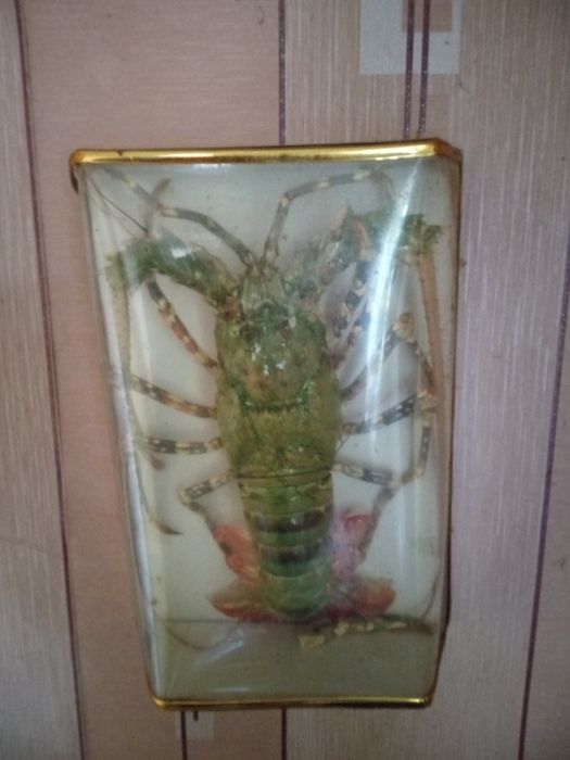 Чучело лангуста новое