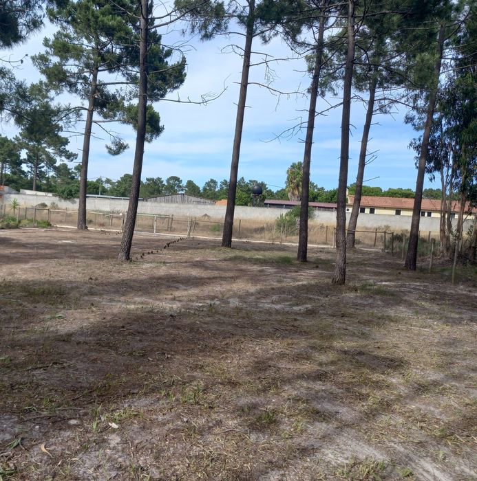 Lote Terreno Legalizado Praia de Melides.